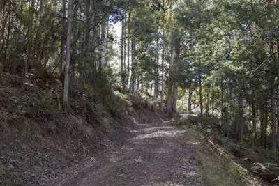 Seventh view of Homely land listing, Lot 2 Bakers Creek Trail, Lucaston TAS 7109