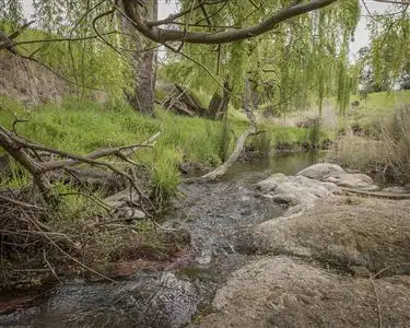 Second view of Homely rural property listing, 2080 Euroa - Mansfield Road, Euroa VIC 3666