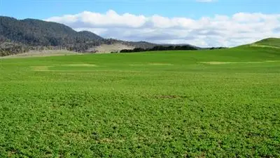 Third view of Homely rural property listing, 6013 Esk Main Road, Fingal TAS 7214