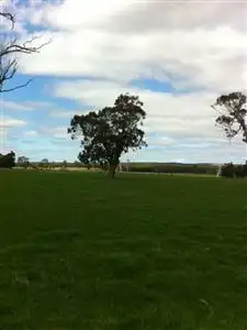 Sixth view of Homely rural property listing, 33 Old Flynn Road, Flynn VIC 3844