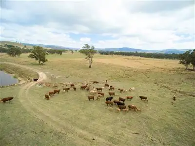 Second view of Homely rural property listing, Address available on request