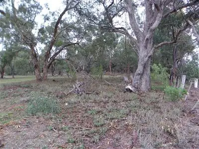 Fourth view of Homely rural property listing, Address available on request