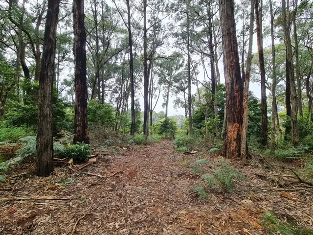 Main view of Homely land listing, 15 Parker Road, Silvan VIC 3795