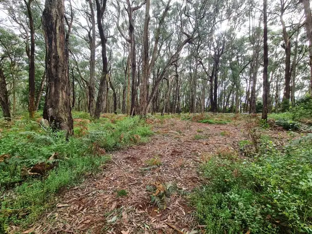 Fourth view of Homely land listing, 15 Parker Road, Silvan VIC 3795