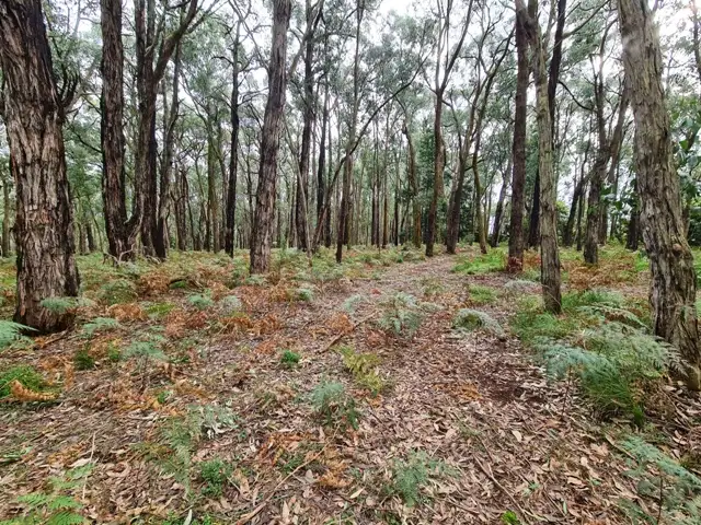Fifth view of Homely land listing, 15 Parker Road, Silvan VIC 3795