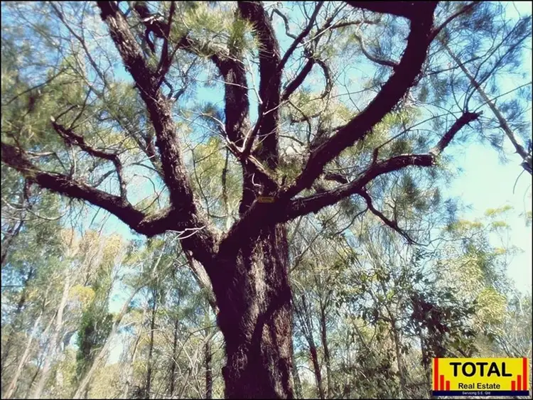 Fifth view of Homely rural property listing, Address available on request