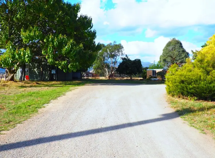 Main view of Homely rural property listing, 19 Chisholm Street, Tumbarumba NSW 2653