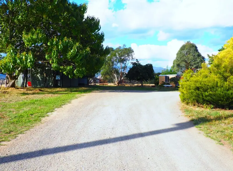Main view of Homely rural property listing, 19 Chisholm Street, Tumbarumba NSW 2653