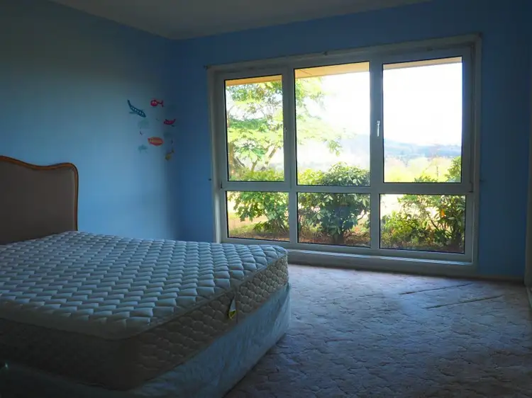 Sixth view of Homely rural property listing, 19 Chisholm Street, Tumbarumba NSW 2653