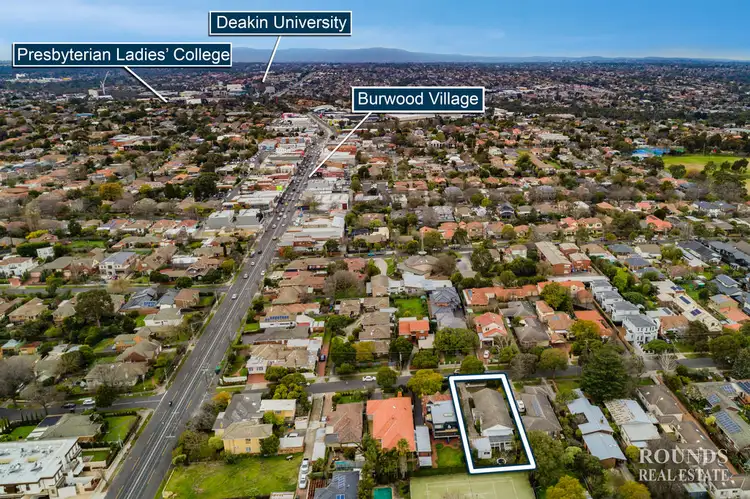 8 Alfred Road, Glen Iris VIC 3146