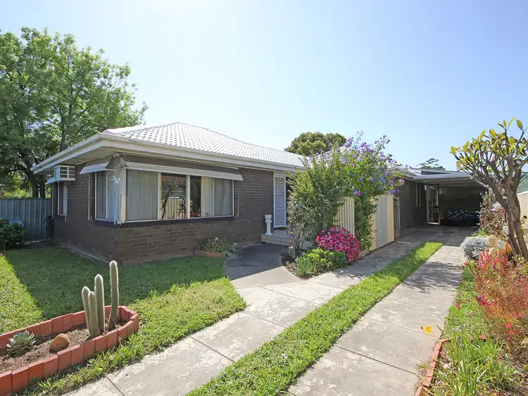 877 Marion Road, Mitchell Park SA 5043