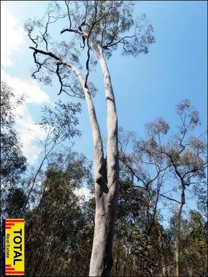 Main view of Homely land listing, Lot 33 Cabbage Gum Drive, Millmerran Woods QLD 4357