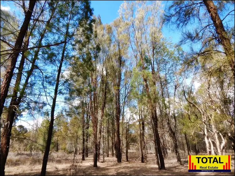 Third view of Homely rural property listing, 260 Cypress Road, Kumbarilla QLD 4405