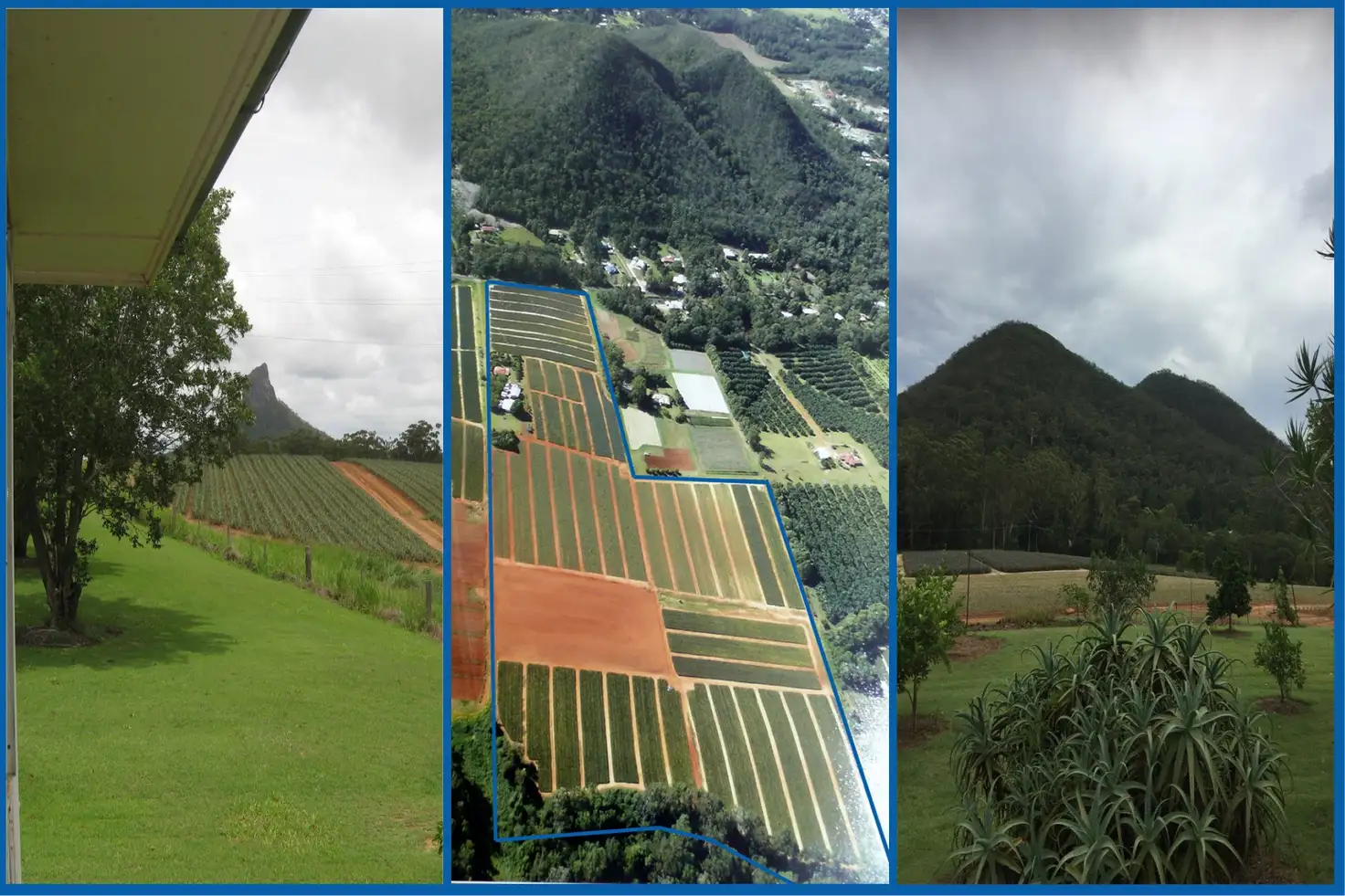 Main view of Homely house listing, 52 Lindeman Road, Beerwah QLD 4519