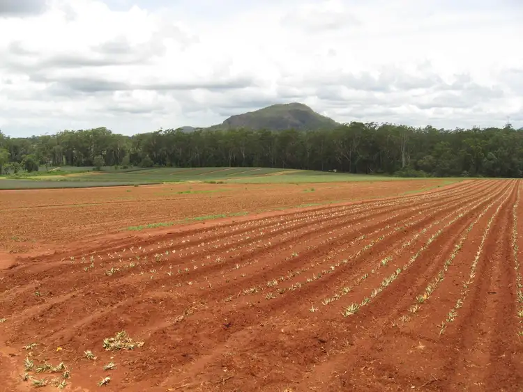 Third view of Homely house listing, 52 Lindeman Road, Beerwah QLD 4519