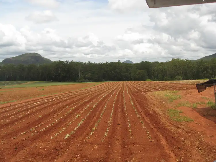 Seventh view of Homely house listing, 52 Lindeman Road, Beerwah QLD 4519