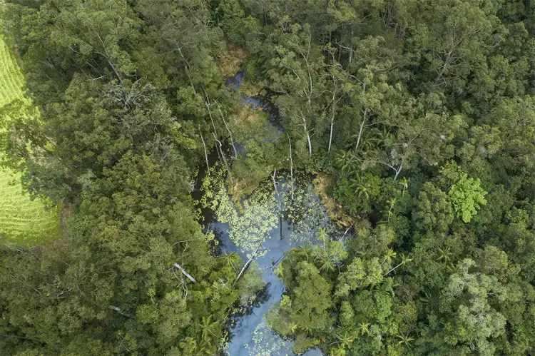 Second view of Homely house listing, 616 Peachester Road, Beerwah QLD 4519