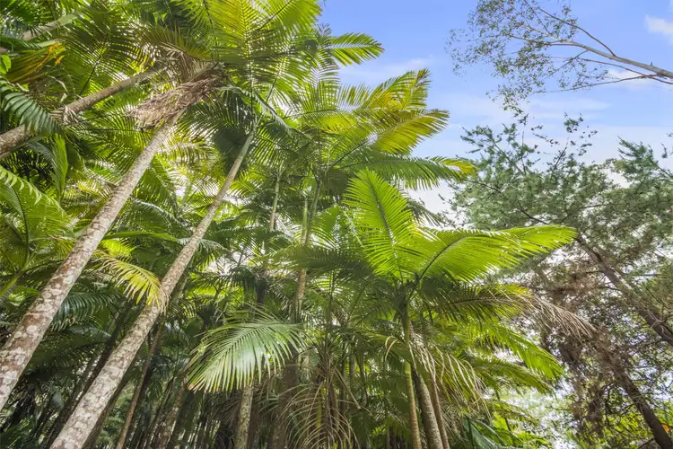 Seventh view of Homely house listing, 616 Peachester Road, Beerwah QLD 4519