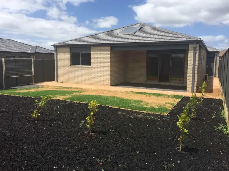 Fifth view of Homely house listing, 3 Biferno Cres, Cranbourne East VIC 3977