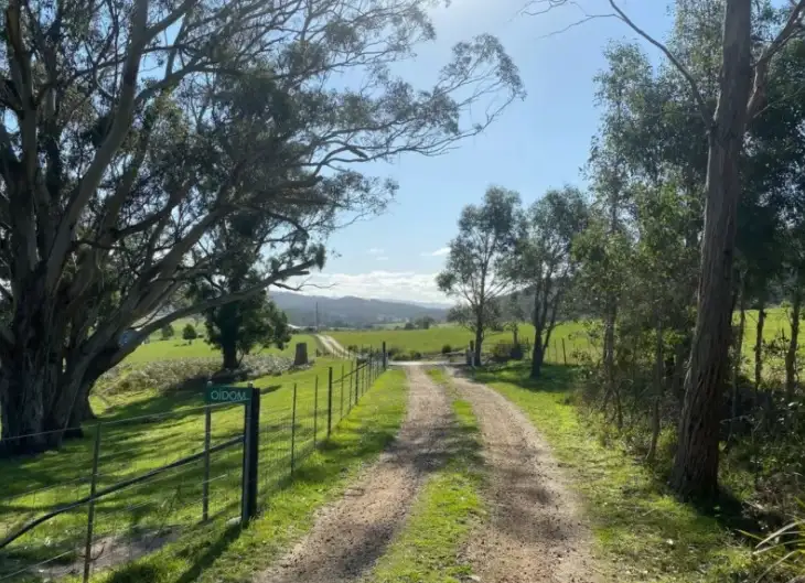 Second view of Homely acreage listing, 179 Reids Road, St Helens TAS 7216