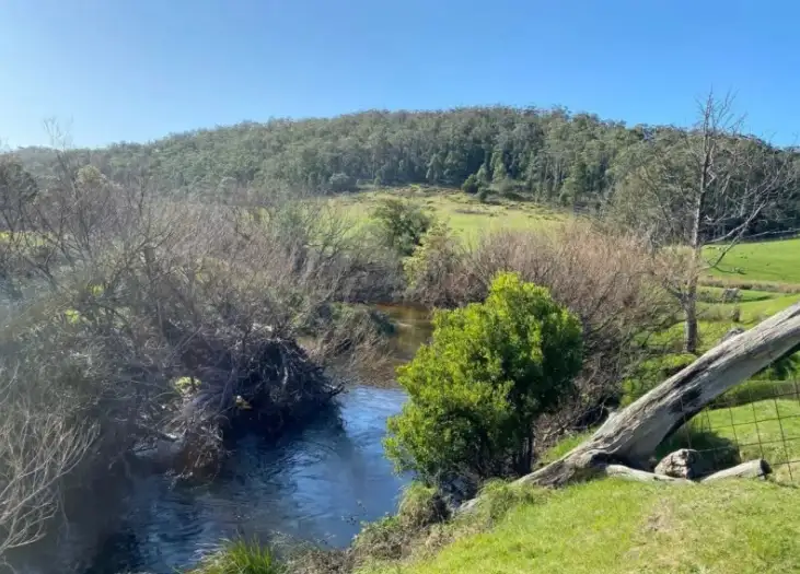 Fifth view of Homely acreage listing, 179 Reids Road, St Helens TAS 7216