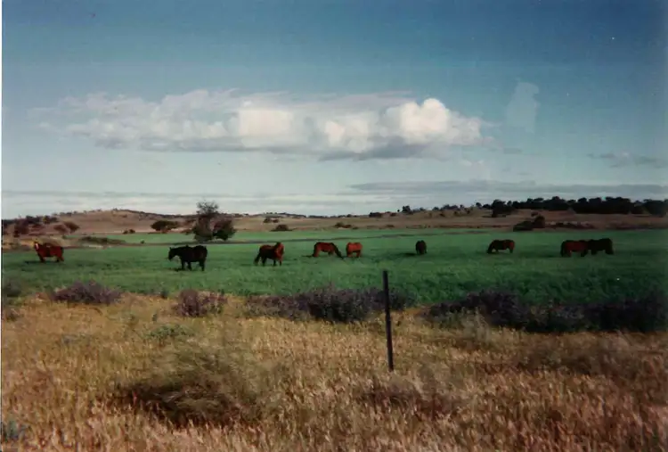 Main view of Homely rural property listing, 1041 Australian Plains Road, Eudunda SA 5374