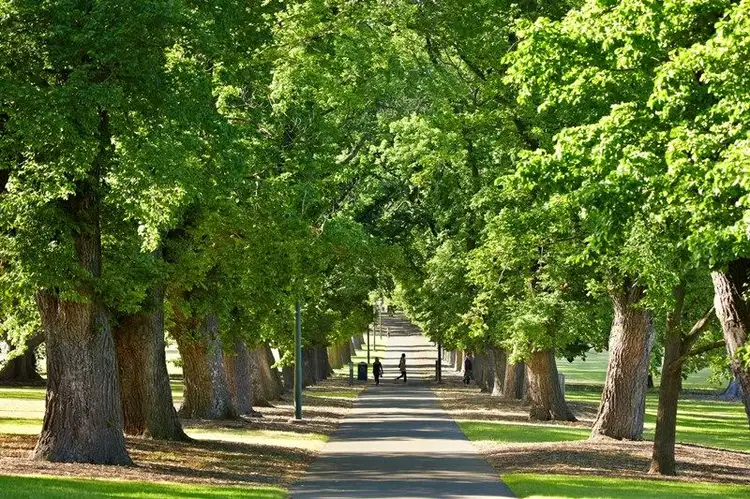 Second view of Homely apartment listing, 706/505 Saint Kilda Road, Melbourne VIC 3004