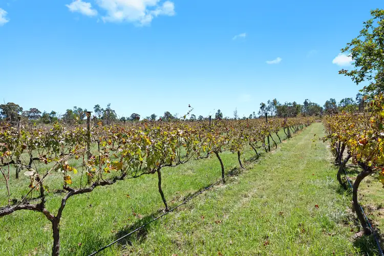 Third view of Homely other listing, 274 Spring Creek Road, Greenlands QLD 4380