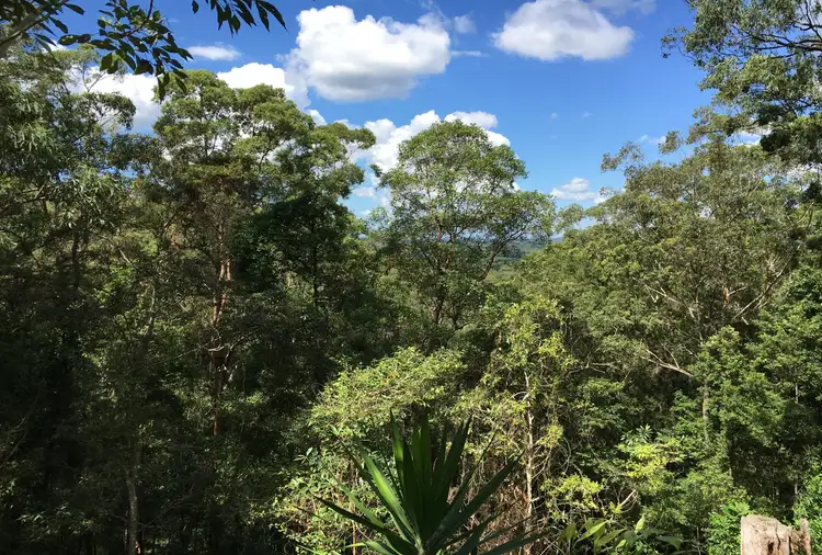 Second view of Homely rural property listing, 158 Upper Tolson Road, Ilkley QLD 4554