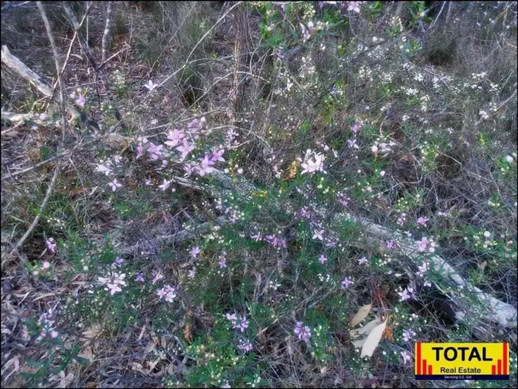 Second view of Homely land listing, Cabbage Gum Road, Millmerran Woods QLD 4357