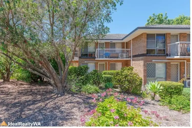 Third view of Homely unit listing, 4/322 Canning Highway, Como WA 6152