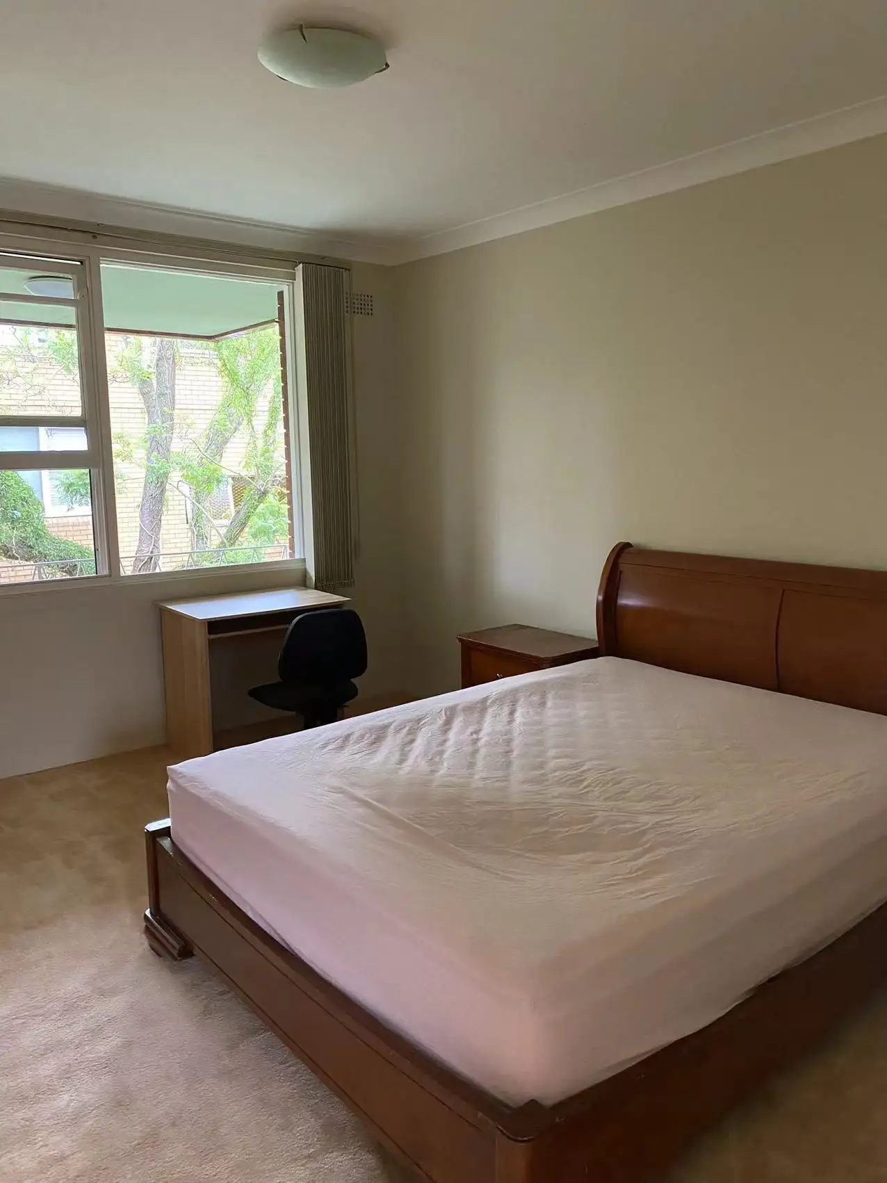 Main view of Homely apartment listing, 16/38 Alt Street, Ashfield NSW 2131