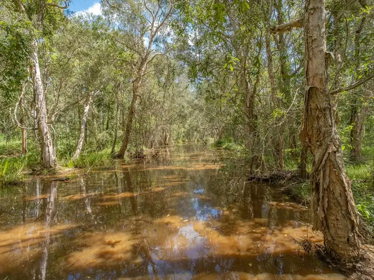 Sixth view of Homely rural property listing, 140 Van Hensbroek Road, Bauple QLD 4650