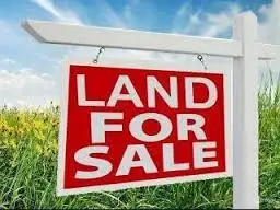 Lot 20252 Cooney Circuit