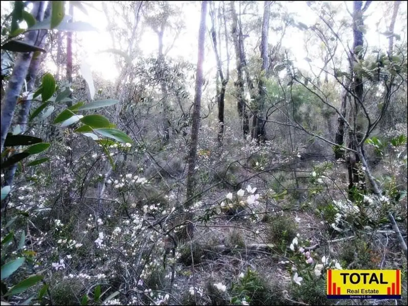 Main view of Homely land listing, Cabbage Gum Road, Millmerran Woods QLD 4357