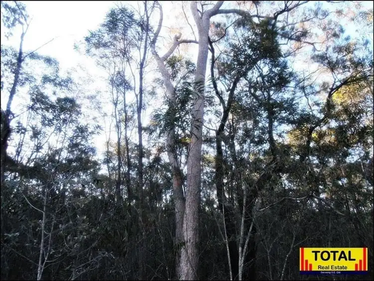 Third view of Homely land listing, Cabbage Gum Road, Millmerran Woods QLD 4357