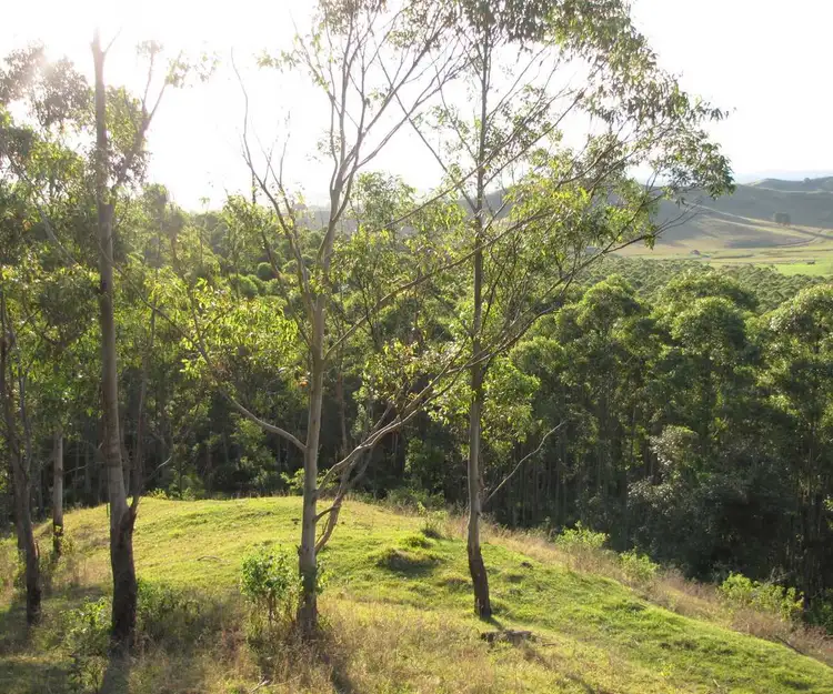 Main view of Homely rural property listing, - Reynolds Lane, Backmede NSW 2470