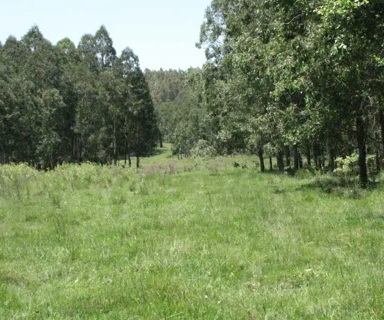 Second view of Homely rural property listing, - Ironbolt Carruthers Road, Doubtful Creek NSW 2470