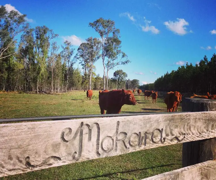 Second view of Homely rural property listing, Myrtle Creek Rd, Myrtle Creek NSW 2469