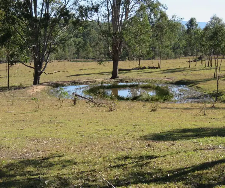Fifth view of Homely rural property listing, Lot 213 Bruxner Highway, Tabulam NSW 2469