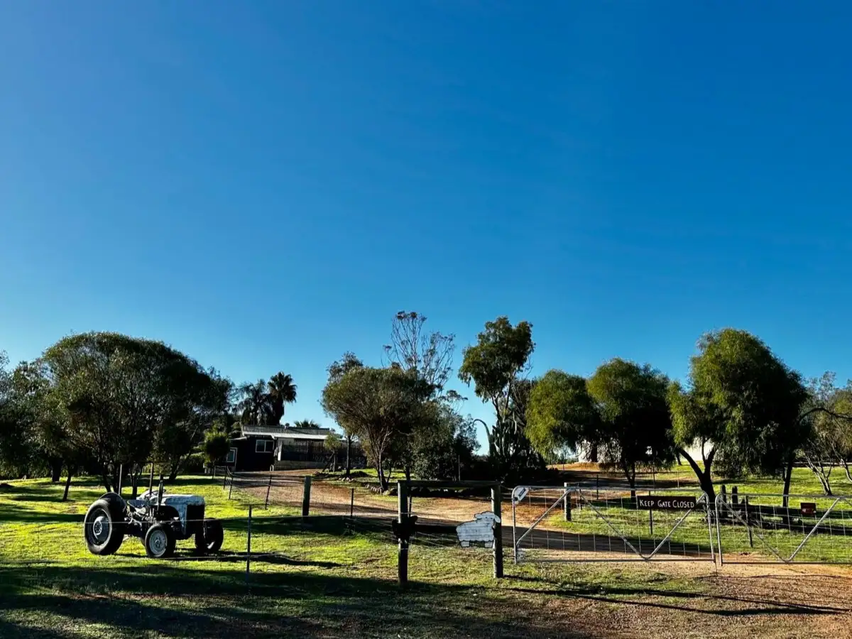 Main view of Homely house listing, 142 Wannerenooka Road, Northampton WA 6535