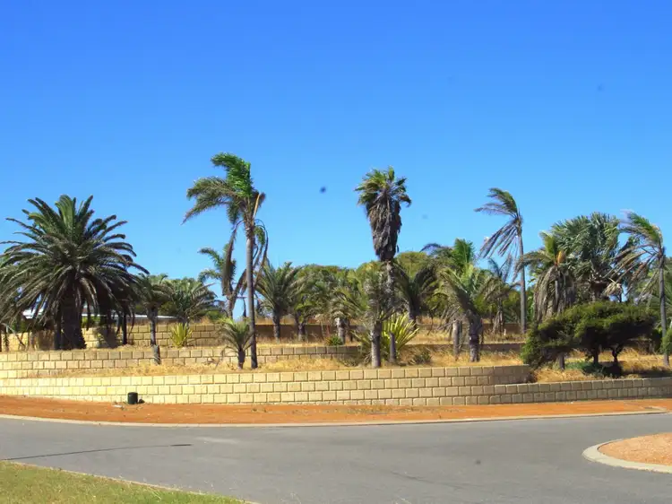 Main view of Homely house listing, 96 Bellimos Drive, Wandina WA 6530