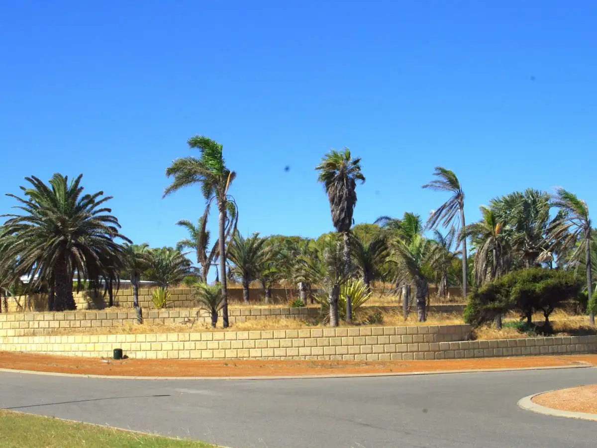 Main view of Homely house listing, 96 Bellimos Drive, Wandina WA 6530