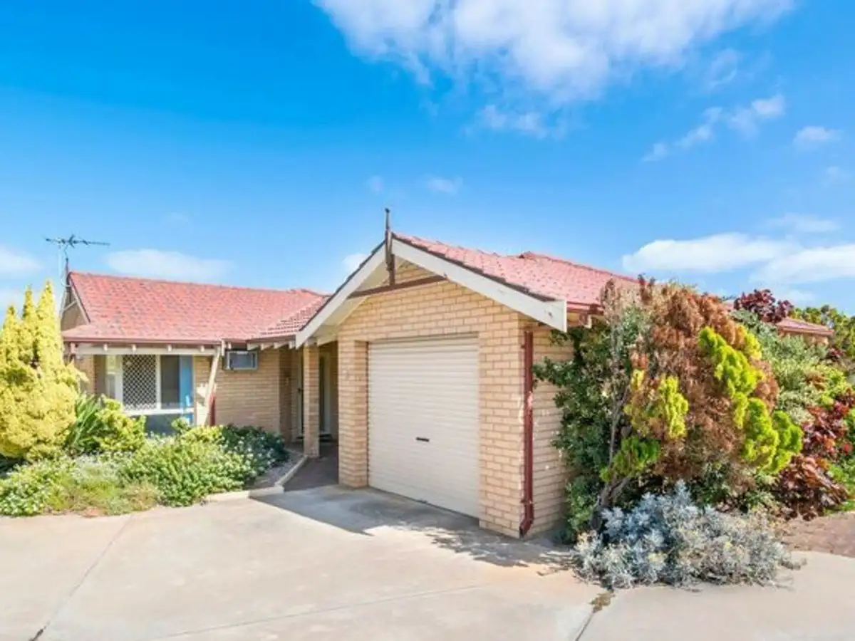 Main view of Homely house listing, 3/11 Cripps Way, Mount Tarcoola WA 6530