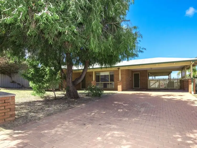 4 Conch Rise, Wandina WA 6530