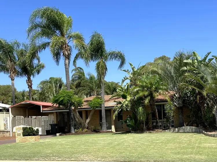 20 Jabiru Way, Waggrakine WA 6530