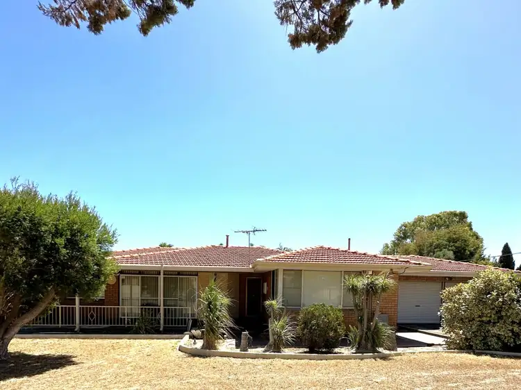31 Drew Street, Spalding WA 6530
