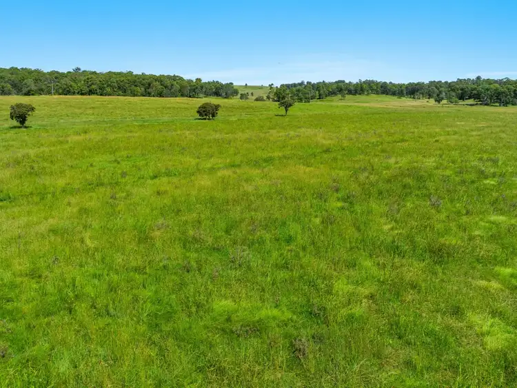 Seventh view of Homely rural property listing, 370 Old Dyraaba Road, Woodview NSW 2470