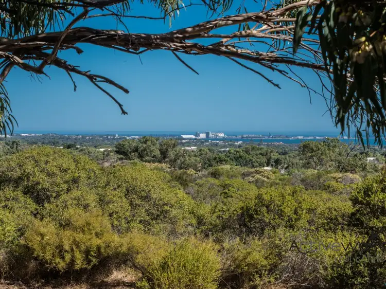 290 David Road, Waggrakine WA 6530