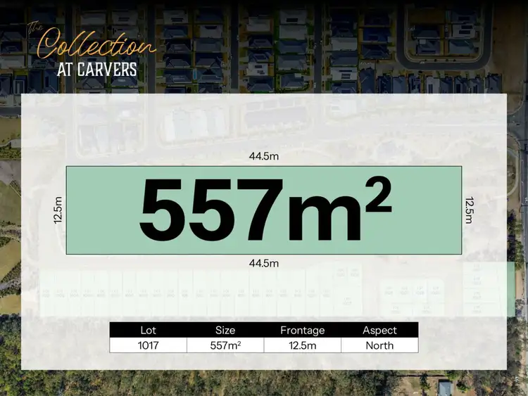 Third view of Homely land listing, Lot 1017 Carvers Way, Park Ridge QLD 4125